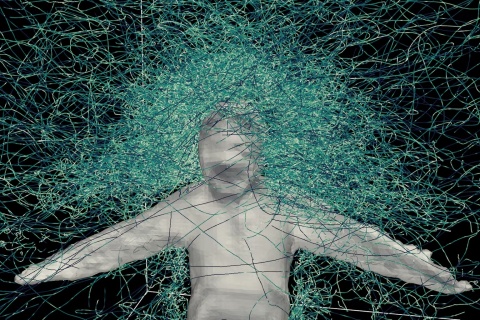 mosquito trajectory around Chris Zuo