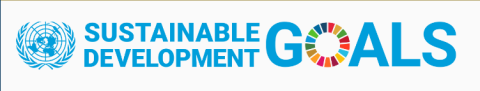 UN SDG logo
