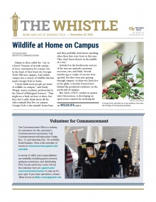The Whistle - Nov. 22, 2021