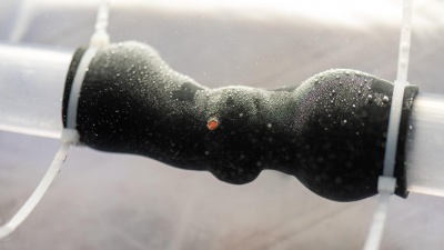 New 3-D printing technologies allow researchers to create patient-specific heart valve models that mimic the physiological qualities of the real valves. This image shows the submerged valve during flow testing. (Credit: Rob Felt)