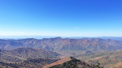 Along the highest peaks in North Carolina, an isolated spruce-fir boreal forest stands as a relict of the Pleistocene, contrasting with deciduous trees on the Southern Appalachians. (Photo: Mount Mitchell State Park by Jess Hunt-Ralston, Georgia Tech)