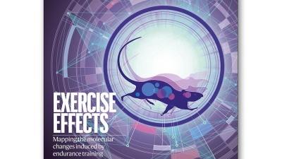 The May 2024 cover of the journal Nature, featuring MoTrPAC findings.