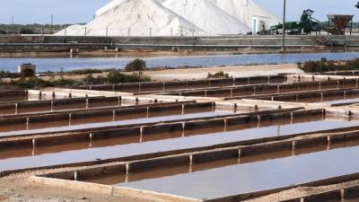 saltern Ponds_1.jpeg