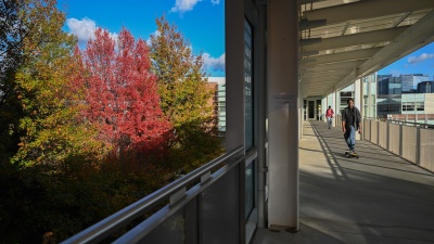 Students enjoy fall on campus