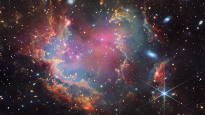 Astronomers using NASA's James Webb Space Telescope found candidates for the first brown dwarfs outside of our galaxy in a young star cluster in the Small Magellanic Cloud (NGC 602). (ESA/Webb, NASA & CSA, P. Zeidler, E. Sabbi, A. Nota, M. Zamani)