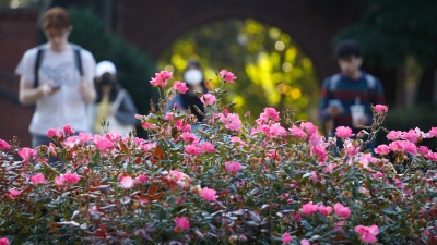 Students Walk on Campus During Springtime