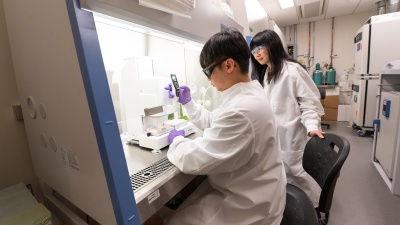 Researchers in Nga Lee (Sally) Ng's lab