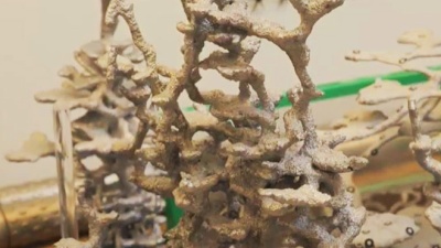 Cast_Ant_Hill_cropped.jpg