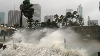 Hurricane Damage