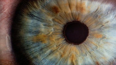 A human eye - Image from Unsplash