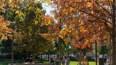 Leaves changing along Tech Walkway.