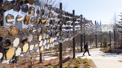 Pathway of Progress, February 2025