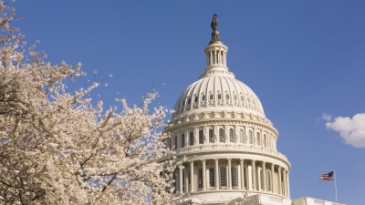 US-Capital-with-Cherry-Blossoms.jpg