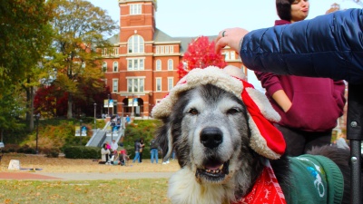 Big Bear at the December Parents With Pups event. 