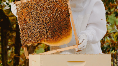 Deb DeWitt serves as Georgia Tech’s 2025 Beekeeper in Residence with the Urban Honey Bee Project. 