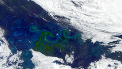 A satellite image of blooming phytoplankton, visible as green-tinted swirls, in the South Atlantic. Credit: NASA Credit: NASA (OCI sensor aboard PACE on January 5, 2025)
