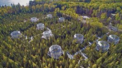 An aerial photo of the SPRUCE experiment.