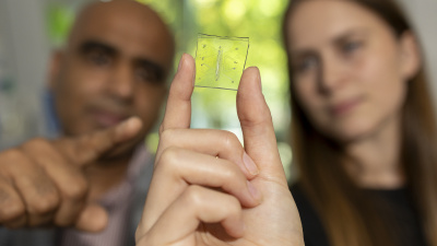Lung-on-a-Chip With Immune System