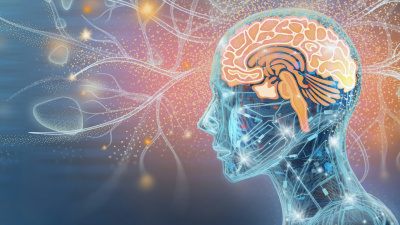 The human brain has 86 billion neurons that make trillions of connections. Grafissimo/DigitalVision Vectors via Getty Images