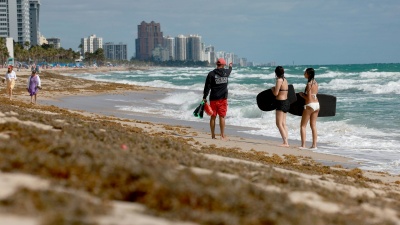 Sargassum littered beaches in Fort Lauderdale, Fla., in spring 2023, making a mess during spring break. Joe Raedle/Getty Images