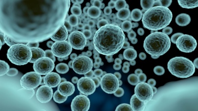 Several space missions are searching for extraterrestrial life, which could come in the form of microbes