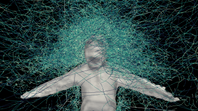 Trajectories of mosquitoes flying around a human target. David L. Hu, Georgia Tech