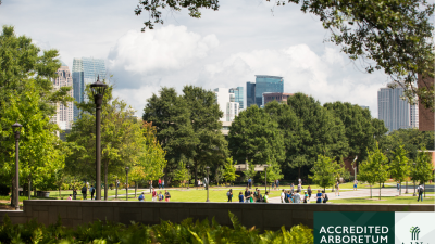 Image of thriving, green Tech campus.