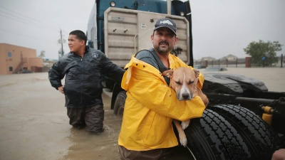 Hurricane Harvey dropped several feet of rain on Texas, stranding trucks, people and their pets. Scott Olson/Getty Images