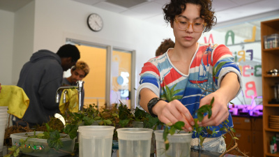 Students participate in the Plant Library