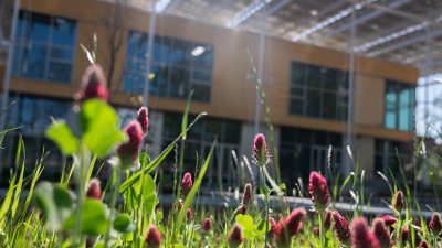 Spring flowers outside The Kendeda Building. Photo by Allison Carter.