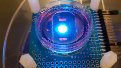 CMOS multi-modal cellular interface array chip in operation in a standard biology lab.
