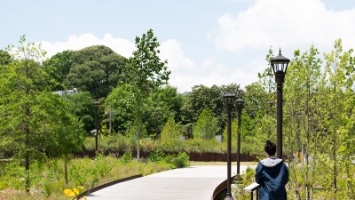 Exploring nature is a good way to detox and get away from the digital world. (Photo by Joya Chapman)