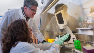 Andrés García, a Regents’ Professor in the Woodruff School of Mechanical Engineering at the Georgia Institute of Technology and Jessica Weaver, a Georgia Tech postdoctoral researcher, discuss pancreatic islet cells being studied in their laboratory. (Credit: Christopher Moore, Georgia Tech)