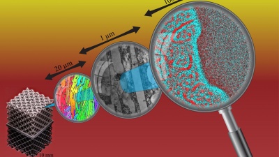 A strong and ductile high-entropy alloy is made from additive manufacturing, and it exhibits a hierarchical microstructure over a wide range of length scales. (Image credit: Thomas Voisin).