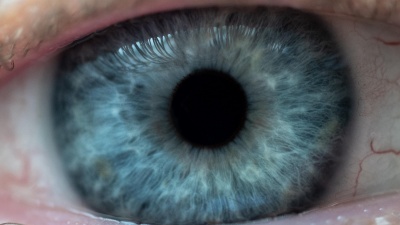 Researchers have developed a potential new treatment for the eye disease glaucoma that could replace daily eye drops and surgery with a twice-a-year injection to control the buildup of pressure in the eye. (Credit: Rob Felt, Georgia Tech)