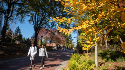 Students Walking Amid Fall Leaves