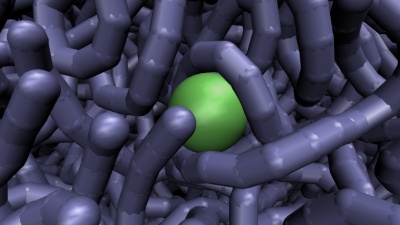 Naturally occurring DNA is in constant motion, researchers hypothesize, and transports large transcription factors (depicted in green) through its tangles until they reach sites where they bind and carry out their activity. Here a still image from a very large, unique simulation.