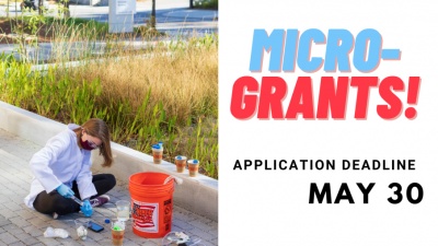 A student takes water samples from a reed bed at the Kendeda Builiding for Innovative Sustainable Design.