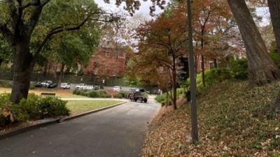 The large post oak scheduled to be removed November 2023.
