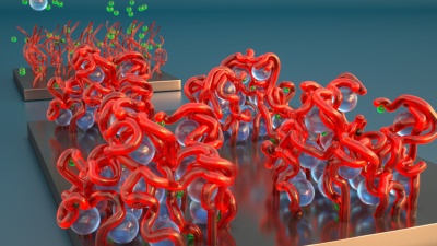 Polyelectrolyte brushes illustration: In the foreground, powerful ions in solution, shown as spheres, cause the brush's bristles to collapse like sticky spaghetti. In the background, gentler ions in solution cause the bristles to stand back straight. Credit: Peter Allen University of California Santa Barbara for this study