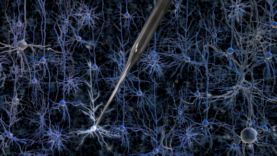 A robotically controlled glass electrode enables single-cell electrical recordings in living brain tissue. Credit: Georgia Tech