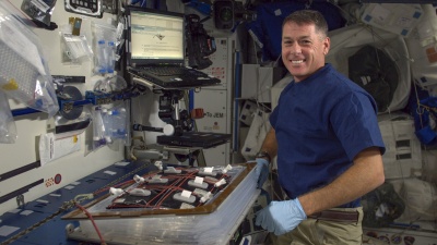 Shane Kimbrough planted an on-orbit crop of red romaine lettuce on October 25 while onboard the International Space Station. Courtesy: NASA