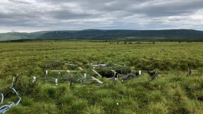 Test plots were used by researchers to study the effects of warming on microbial communities in the interior Alaskan landscape. (Photo: Professor Ted Schuur, Northern Arizona University)