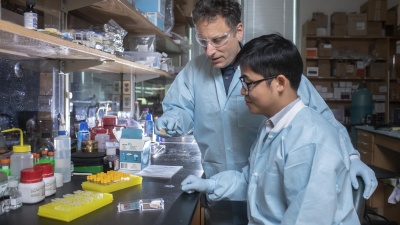 Regents Professor Mark Prausnitz and postdoctoral research scholar Wei Li examine an experimental microneedle contraceptive skin patch. Designed to be self-administered by women for long-acting contraception, the patch could provide a new family planning option. (Credit: Christopher Moore, Georgia Tech)