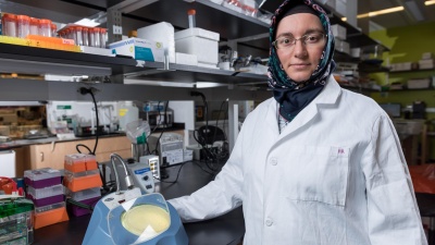 Georgia Tech researcher Havva Keskin observes the frequencies of RNA-templated DNA repair in yeast cells. (Credit: Rob Felt, Georgia Tech)

 