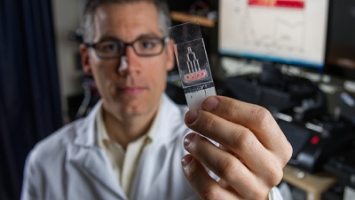 Craig Forest, an assistant professor of bioengineering in the George W. Woodruff School of Mechanical Engineering at Georgia Tech, holds the microfluidic chip used in the study. The chip has narrow passageways to simulate the coronary arteries. Credit: Rob Felt.