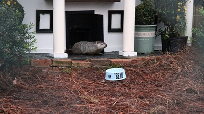 General Beauregard Lee at his home at the Yellow River Game Ranch.Image courtesy of WSB-TV