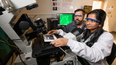 Georgia Tech Associate Professor Matthew Torres and Doctoral Candidate Shilpa Choudhury are shown with images showing cells with a localized green fluorescent protein signal at the membrane. (Credit: Rob Felt, Georgia Tech)