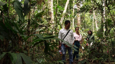 Georgia Tech researchers studied slingshot spiders in the Amazon rain forest of Peru. Shown are Jaime Navarro, a Peruvian field guide; Johanna Johnson, a Peruvian student and project volunteer; and Symone Alexander, a Georgia Tech postdoctoral researcher. (Credit: Geoff Gallice)
