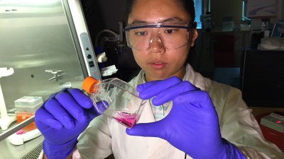 Georgia Tech Graduate Research Assistant Mengnan Zhang examines a solution containing pancreatic cancer cells. The research examined the role of microRNA molecules in controlling resistance to chemotherapy drugs. (Credit: John Toon, Georgia Tech)